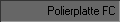 Polierplatte FC